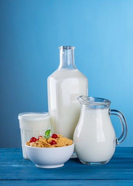 Le lait de jument : les points essentiels