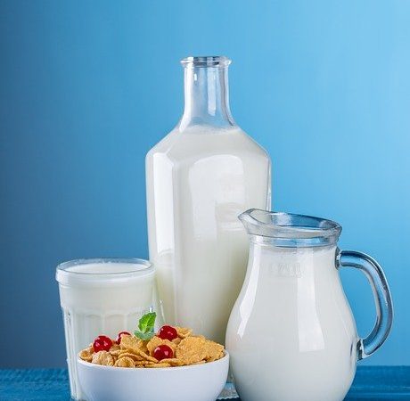 Le lait de jument : les points essentiels