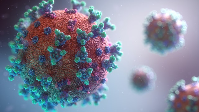 Renforcer ses défenses immunitaires : un moyen préventif efficace contre le coronavirus