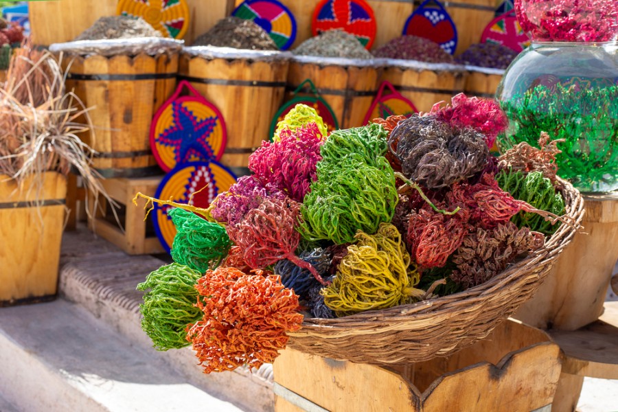 Comment soulager les douleurs avec la rose de jericho ?