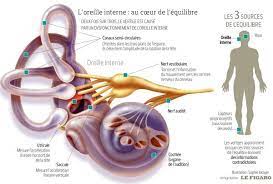 Quel traitement pour le vertige interne de l’oreille ?